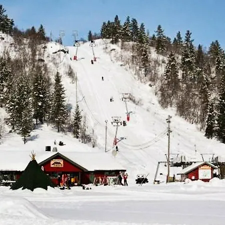 Two-bedroom Holiday In åseral 3 *